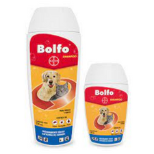 Shampoo Bolfo